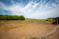 Siófok Agricultural area 57