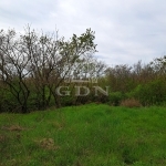 Balatonkenese 土地 6