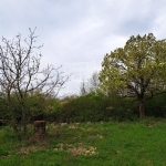 Balatonkenese 土地 7