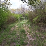 Balatonkenese 土地 9