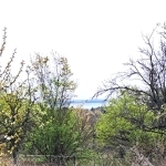 Balatonkenese 土地 7