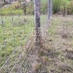 Balatonkenese 土地 11