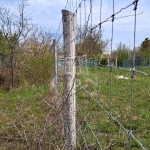 Balatonkenese Wohngrundstück 1