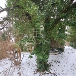 Csopak 家庭别墅 18