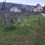 Csopak 夏季别墅 19